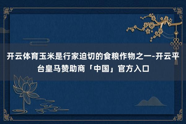 开云体育玉米是行家迫切的食粮作物之一-开云平台皇马赞助商「中国」官方入口