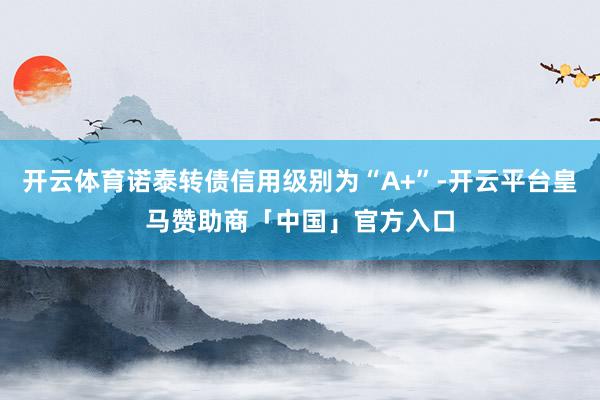 开云体育诺泰转债信用级别为“A+”-开云平台皇马赞助商「中国」官方入口